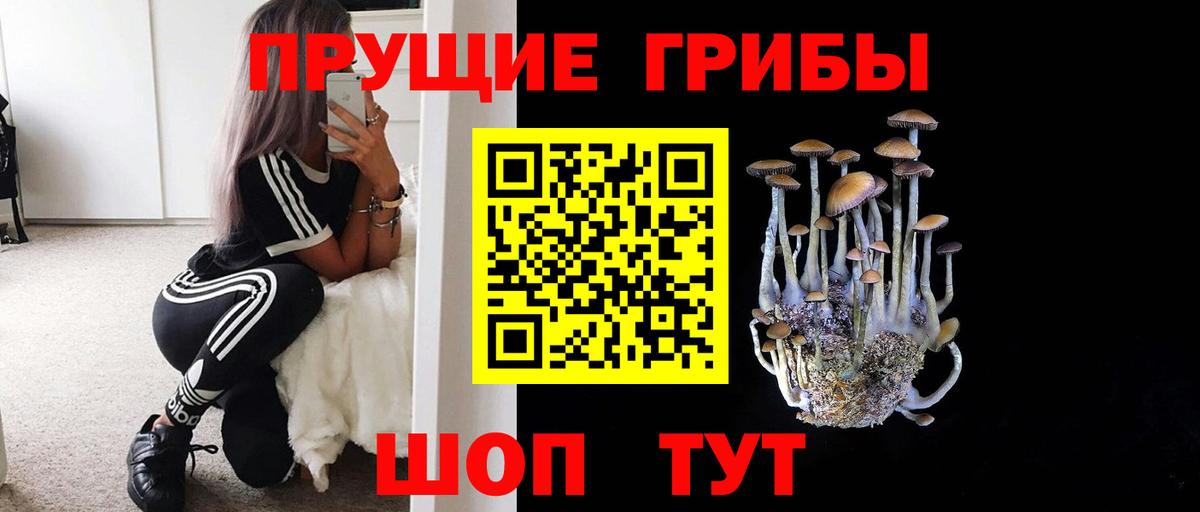 Псилоцибиновые грибы MAGIC MUSHROOMS  Лабинск 