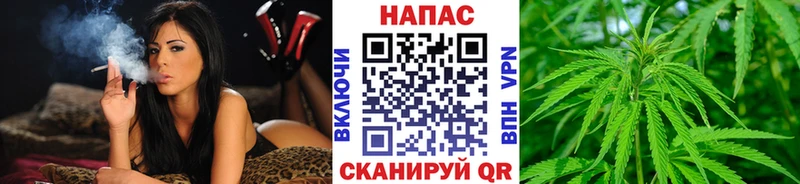 купить   Лабинск  Конопля Amnesia 